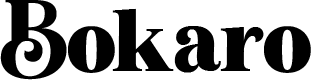 Bokaro logo